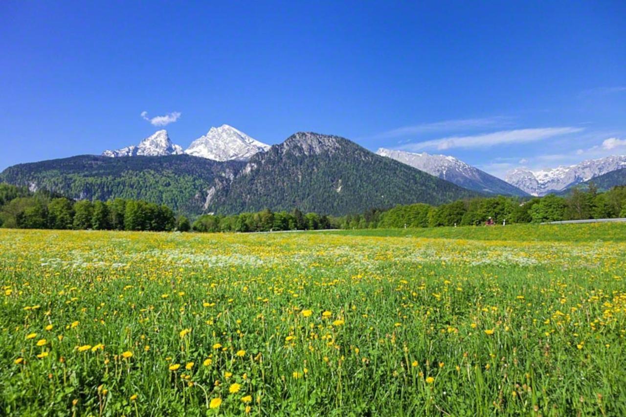 Вилла Triembachhof Шёнау-ам-Кёнигсзе Экстерьер фото